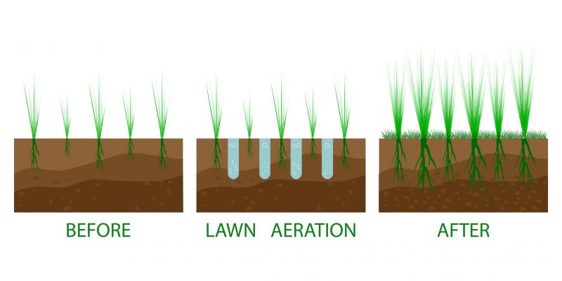 Lawn Irrigation Installation