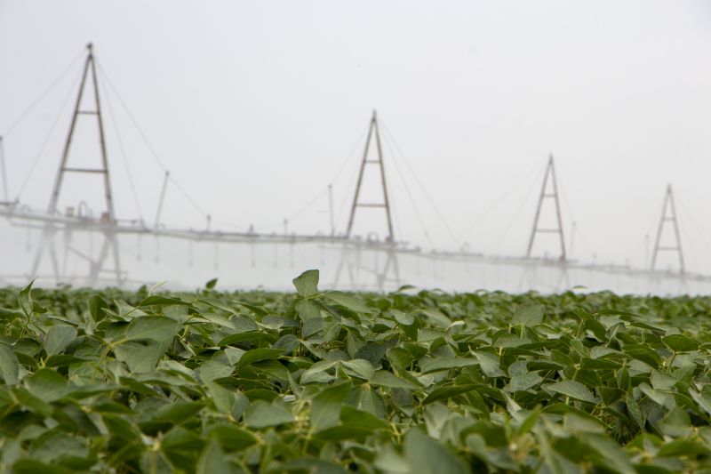 Lawn Irrigation Installation