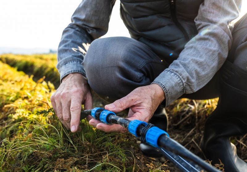 Testing and Adjustment